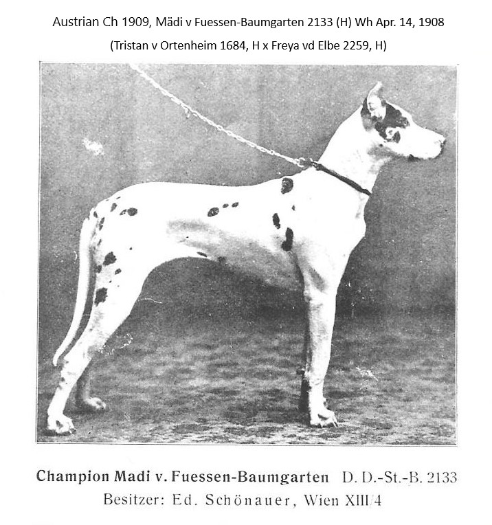 Madi v Fuessen-Baumgarten
